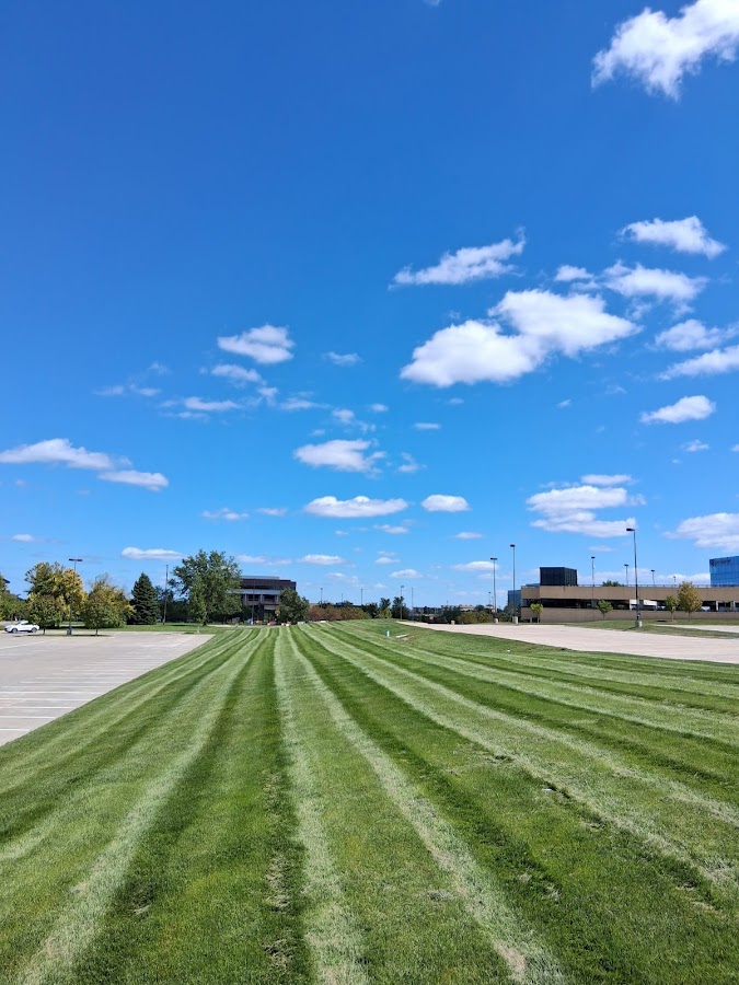 Green Horizon Lawn & Landscape