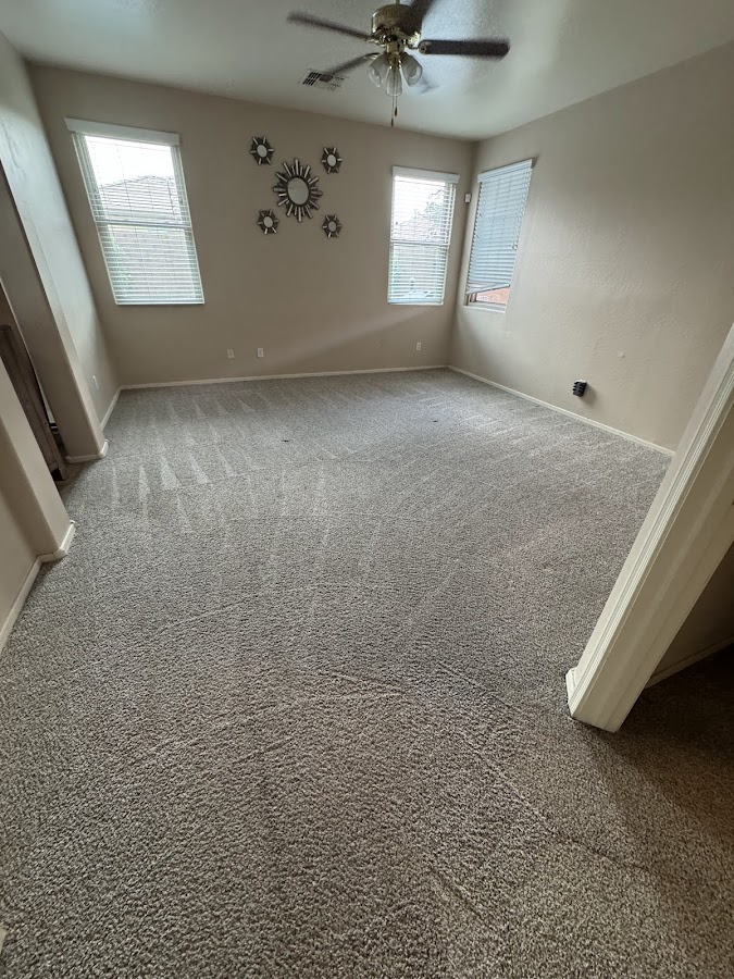 Network Carpet Cleaning Services