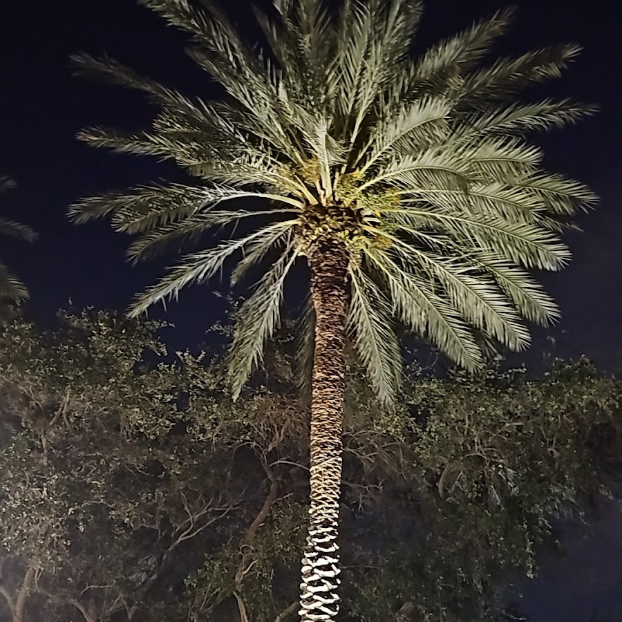 Miami Beach Super Plumber - Miami Beach Super Plumber Drain Cleaning in Miami Beach, FL photo