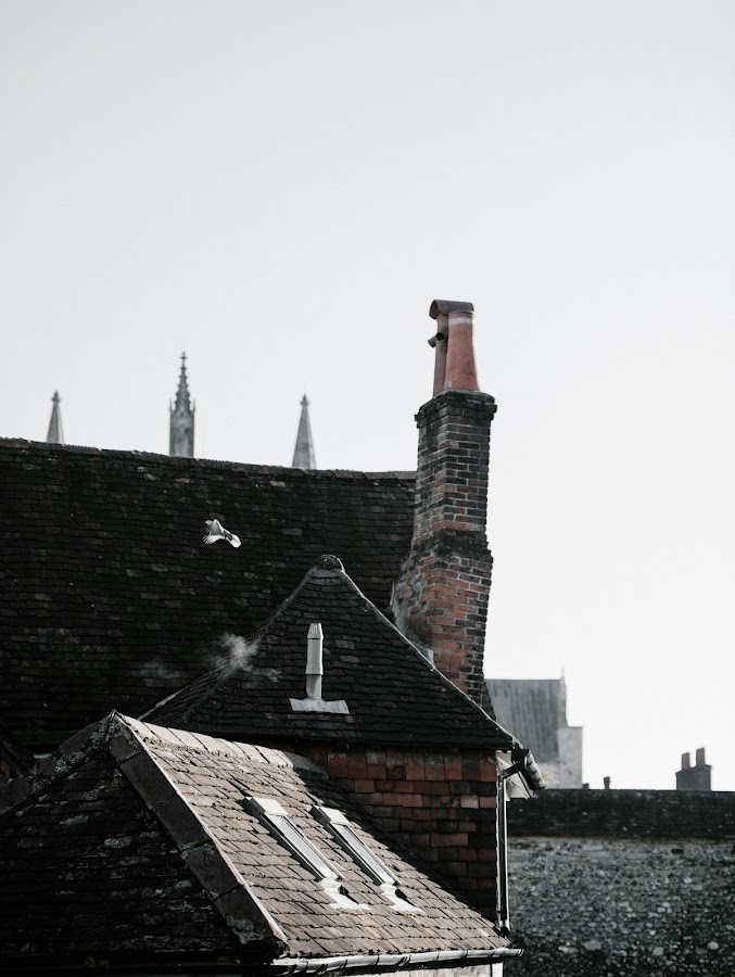 Lorenzo Chimney & wood Burning