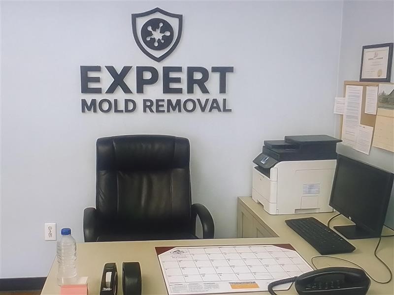 Expert Mold Removal - Florissant, MO