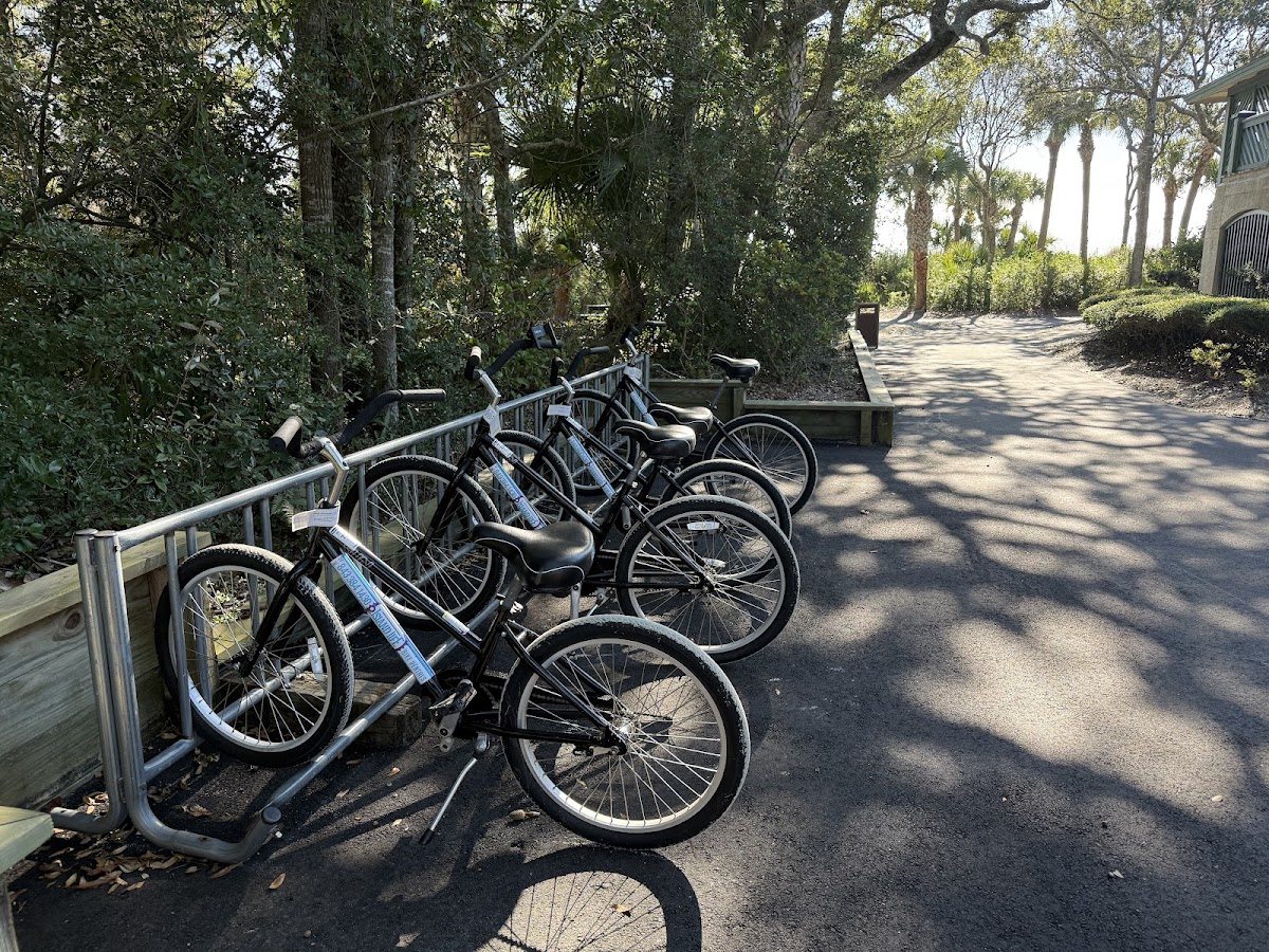 Island Life Bike Rentals & Dolphin Tours | Hilton Head