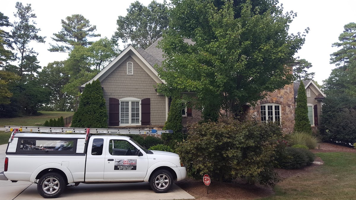 Get Bats Out Brandon