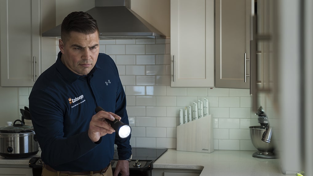 Catseye Pest Control - Norwalk, CT