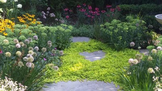 Greenwise Organic Lawn Care