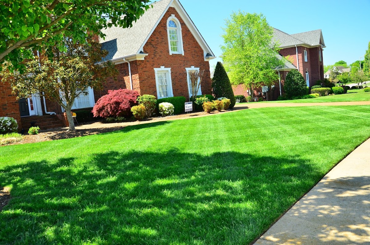 Xpress Lawn Care & Landscaping