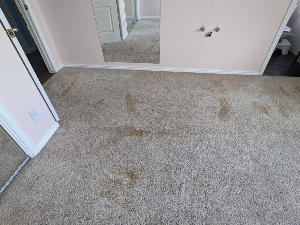 Clean Green Carpet Cleaning LLC