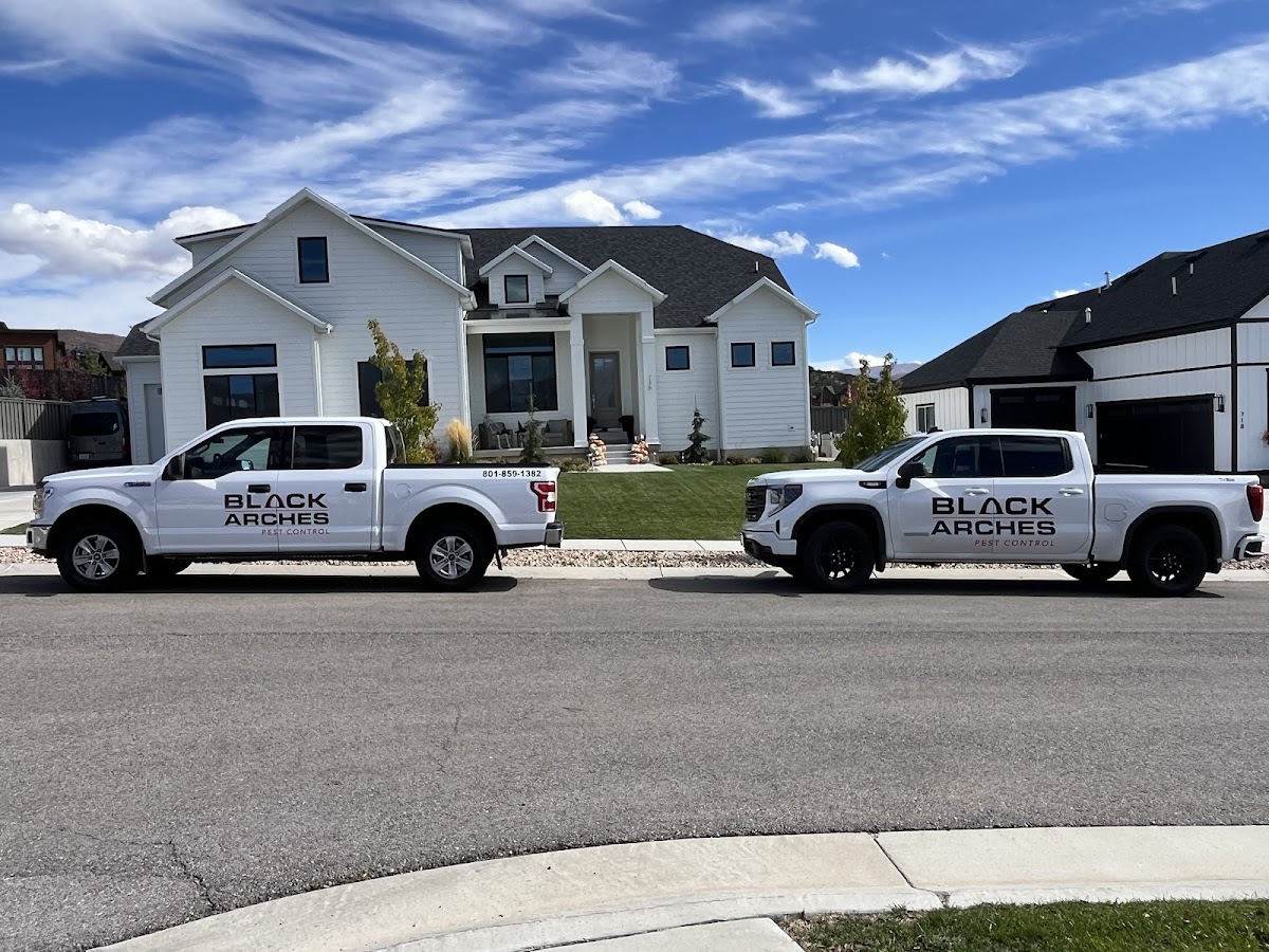 Black Arches Pest Control