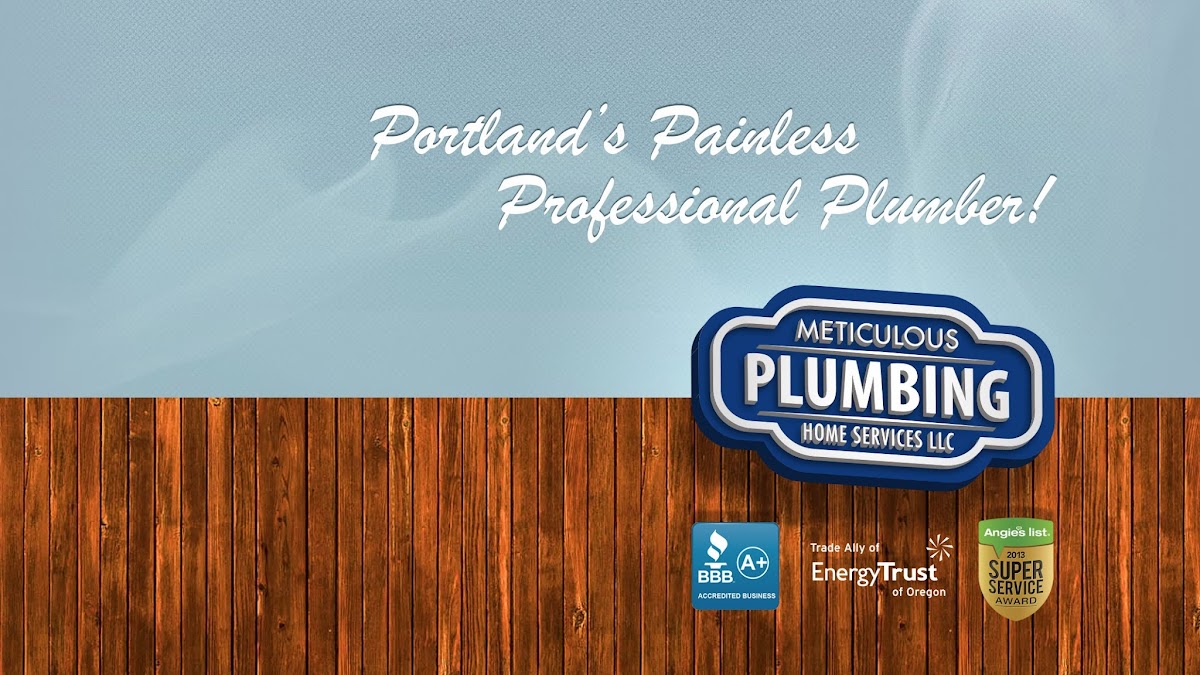 Meticulous Plumbing