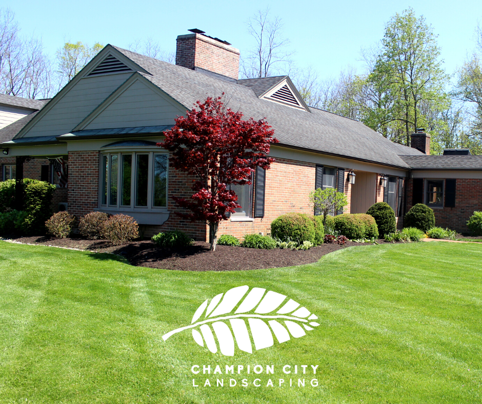 Champion City Landscaping