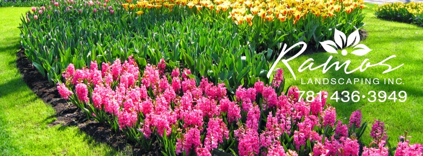 Ramos Landscaping Inc