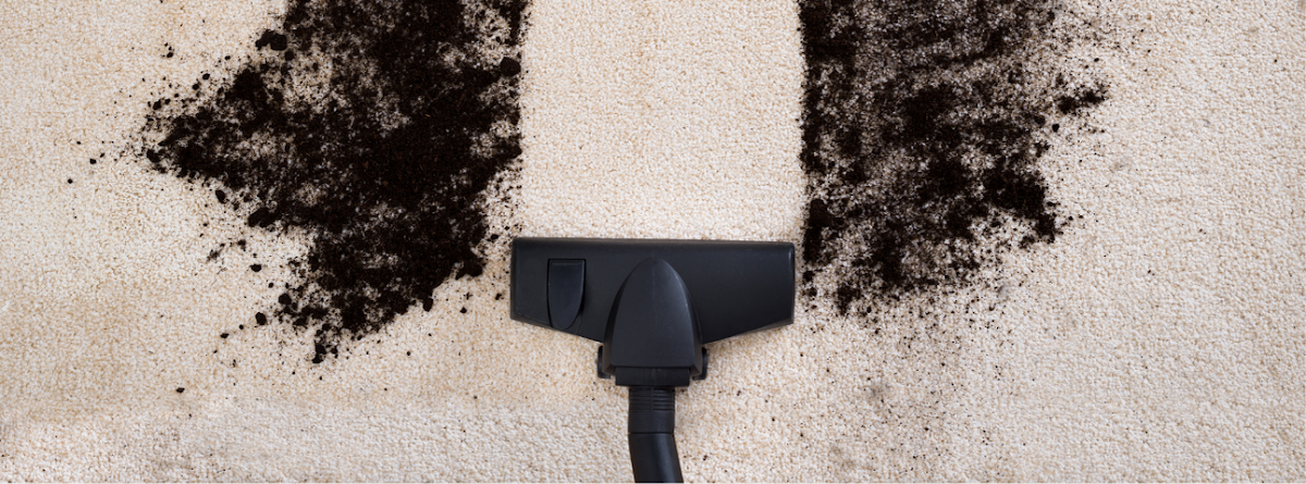 New Day Carpet Cleaners - New Day Carpet Cleaners Carpet Repair in Carson, CA photo