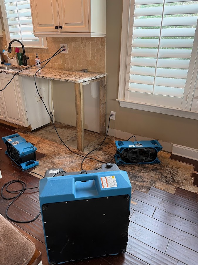 Southeast Restoration