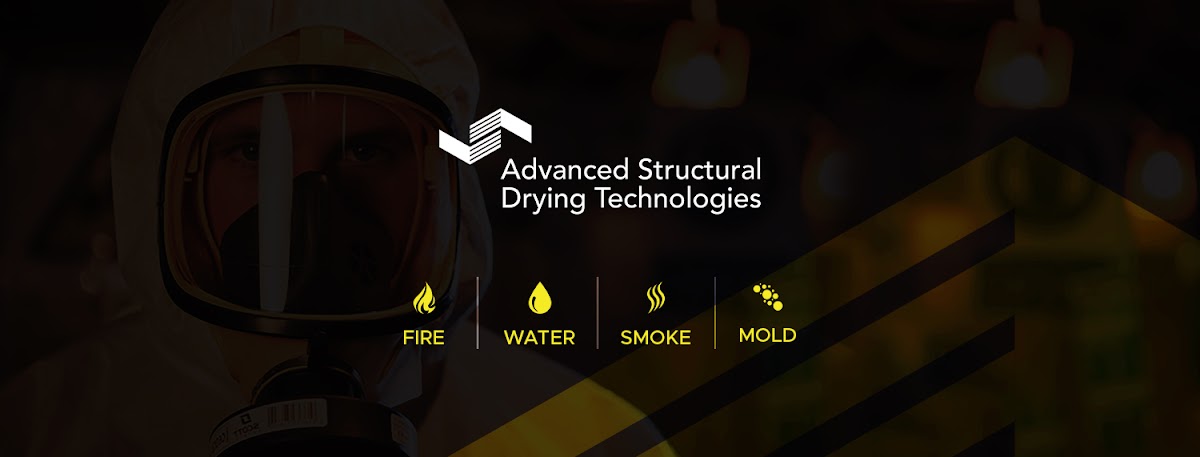 Advanced Structural Drying Technologies