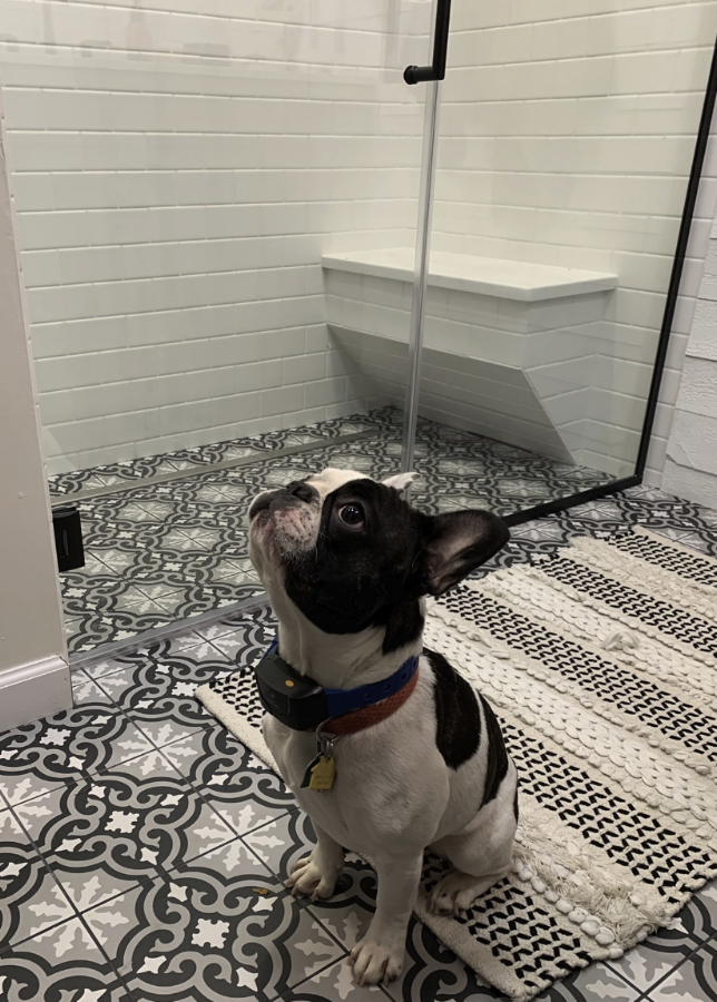 HM Remodeling, Bathroom Remodel, Kitchen Remodel, Remodeling near me