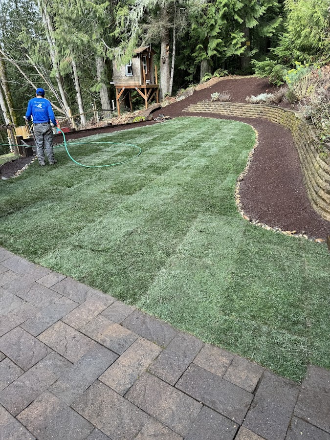 Alberto's Landscaping