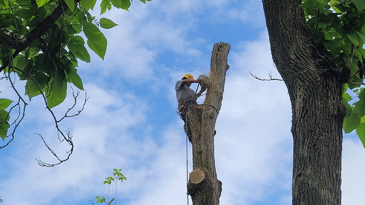 K & J Landscaping Corp