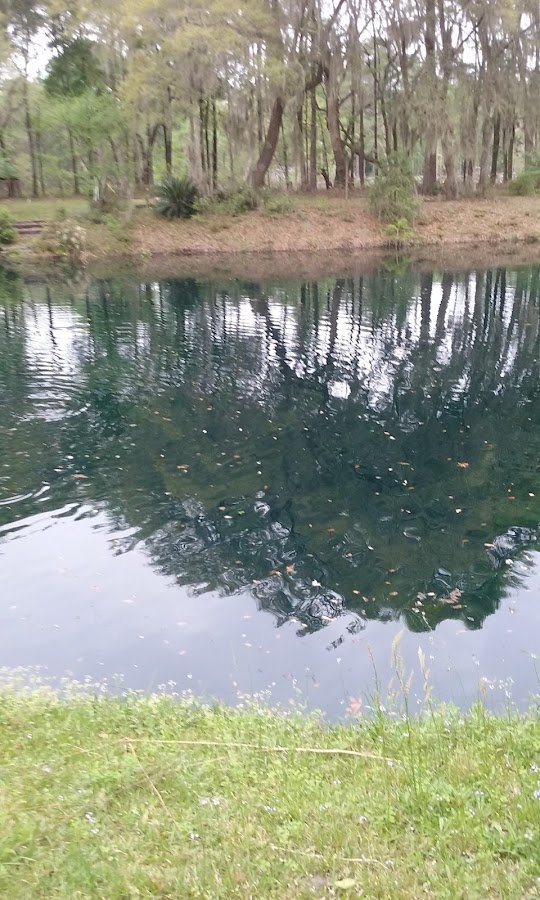 Arthur's Irrigation Sprinkler Repair in Lady's Island, SC photo