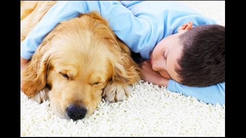 Powerhouse Central Vacuums