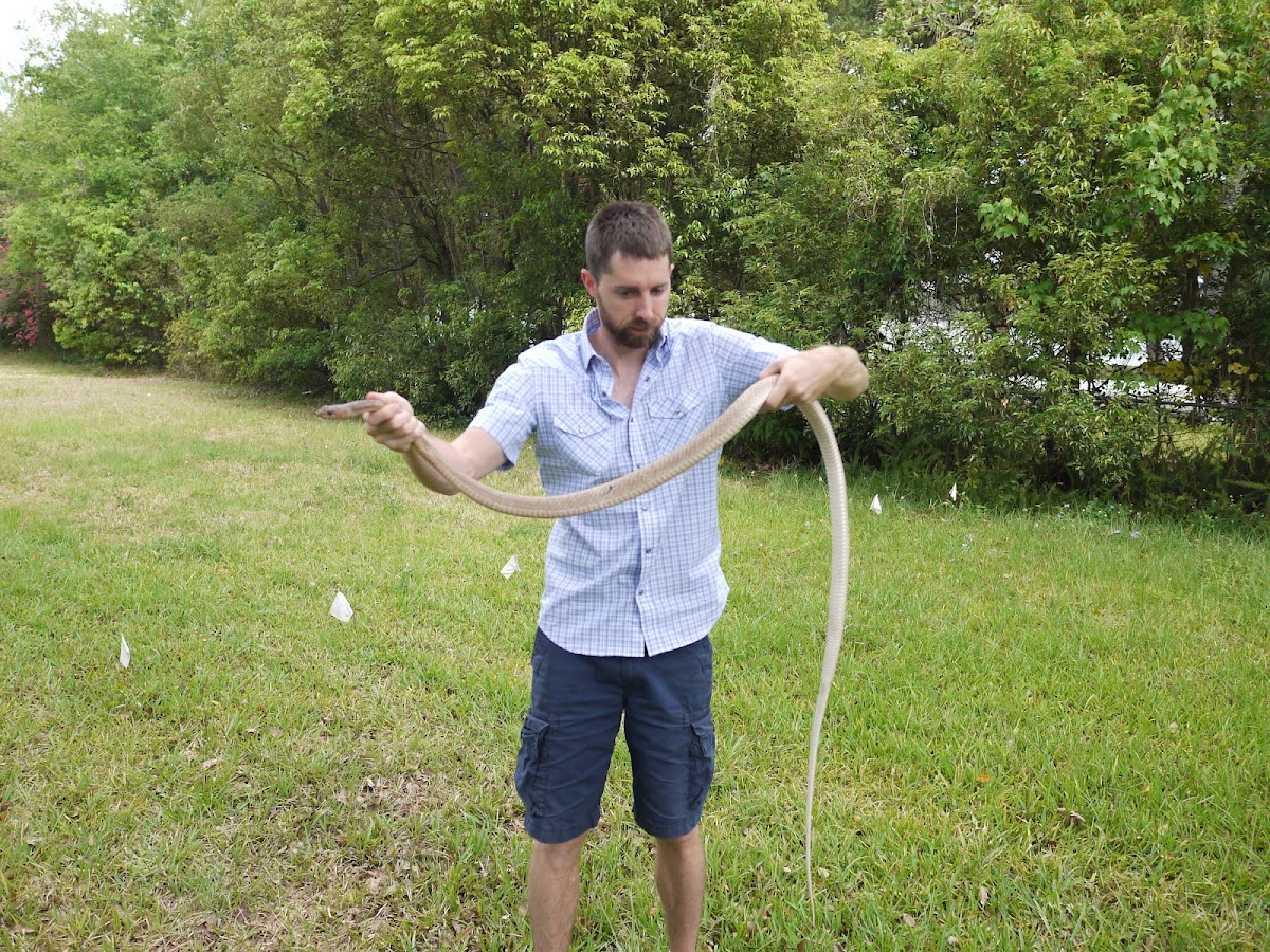 Biologic Pest Control