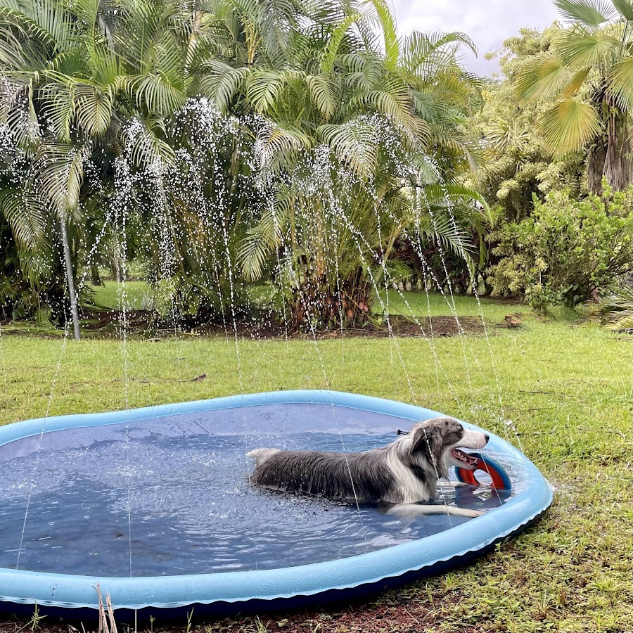 Uncle Tilo's Clean Water LLC