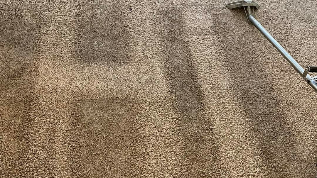 Fremont Carpet & Tile cleaning