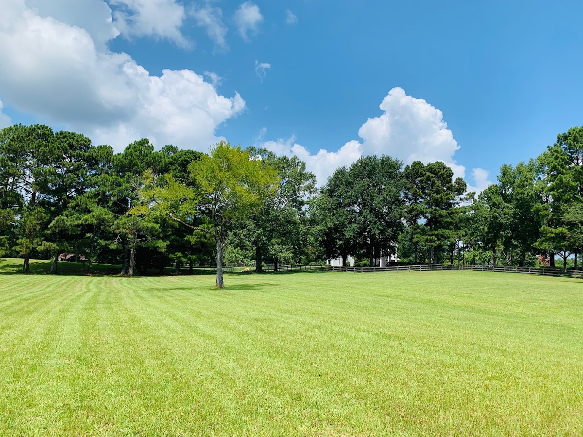 The Mow & Blow Company