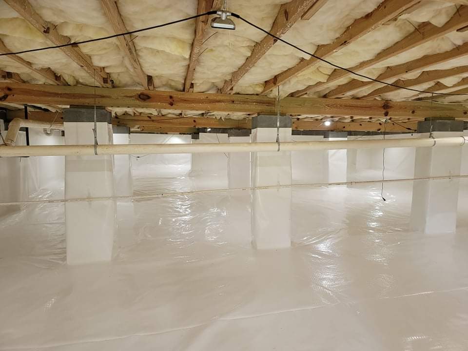 Scout's Pest Control