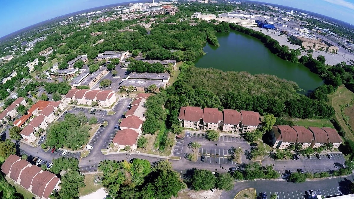 Tampa Bay Plumbers LLC