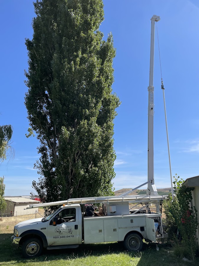 Castle Pump & Electric