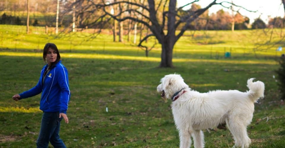 Invisible Fence Company of Springfield