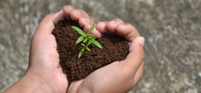 Battle Creek Landscape Service