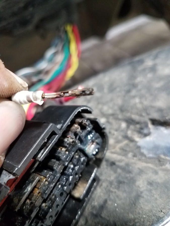 Haley Auto Repair LLC