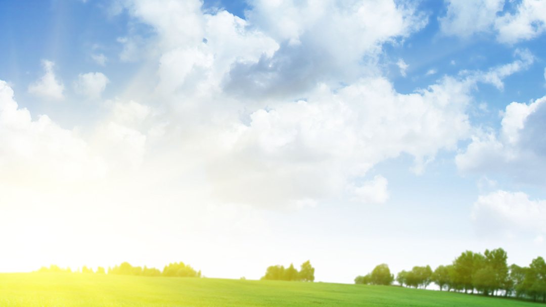 Bob's Quality Heating & Air Conditioning