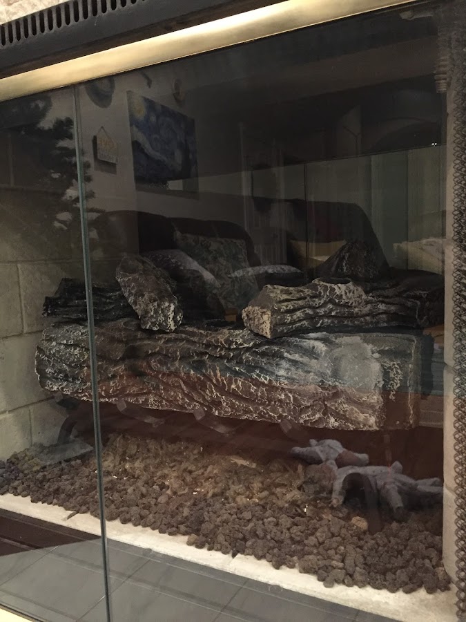 Florizona Fireplace & Gas Services