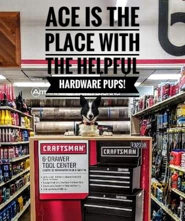 Bath Ace Hardware