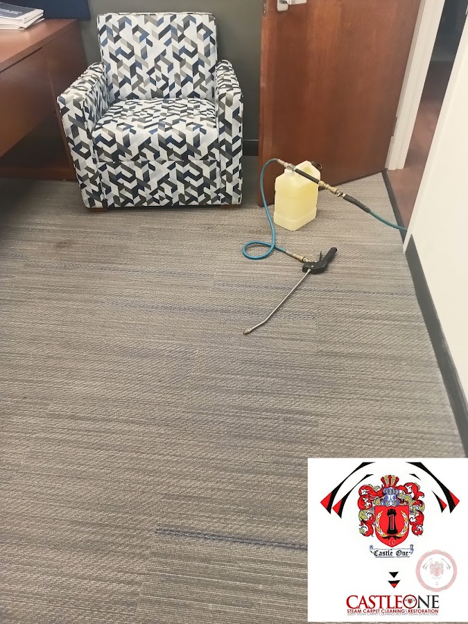 Castle One Rotary Steam Carpet