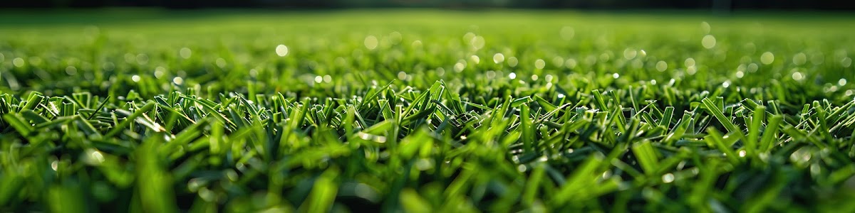 High Green Home Service