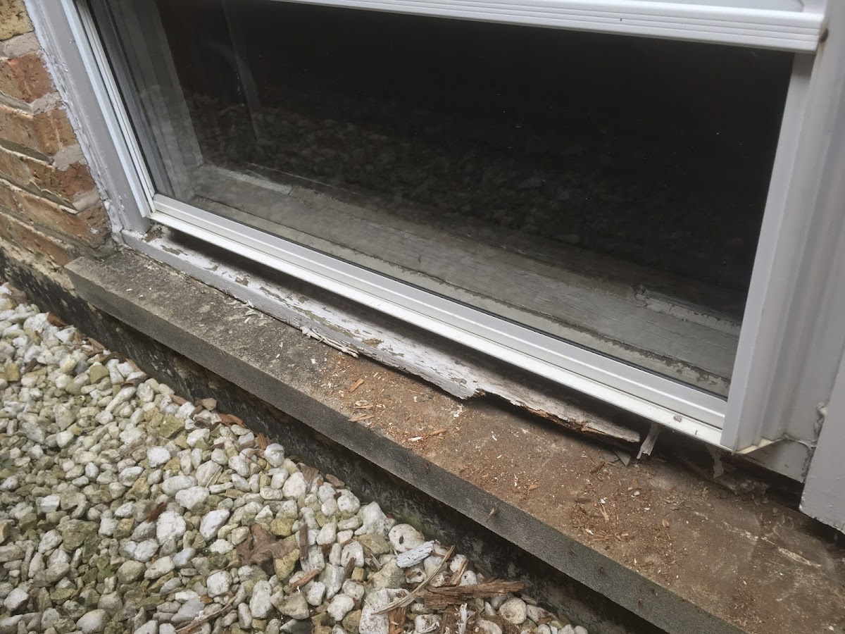 Wood Window Repair Service