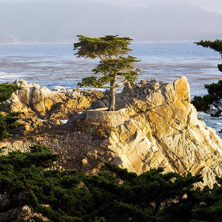 Foundation Building Materials