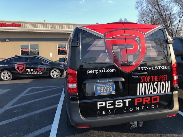 PEST PRO