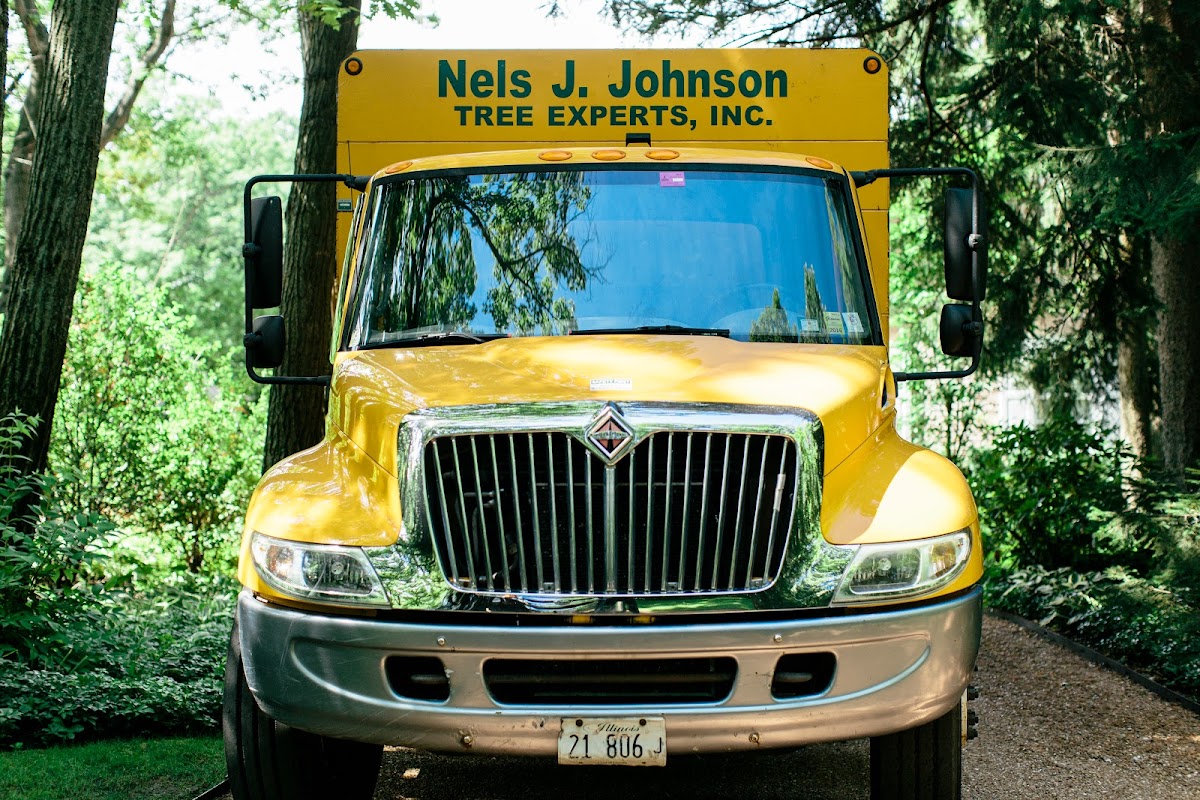 SavATree - Tree Service & Lawn Care