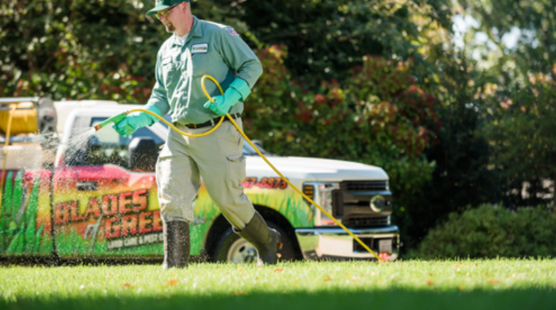 Blades of Green Lawn Care