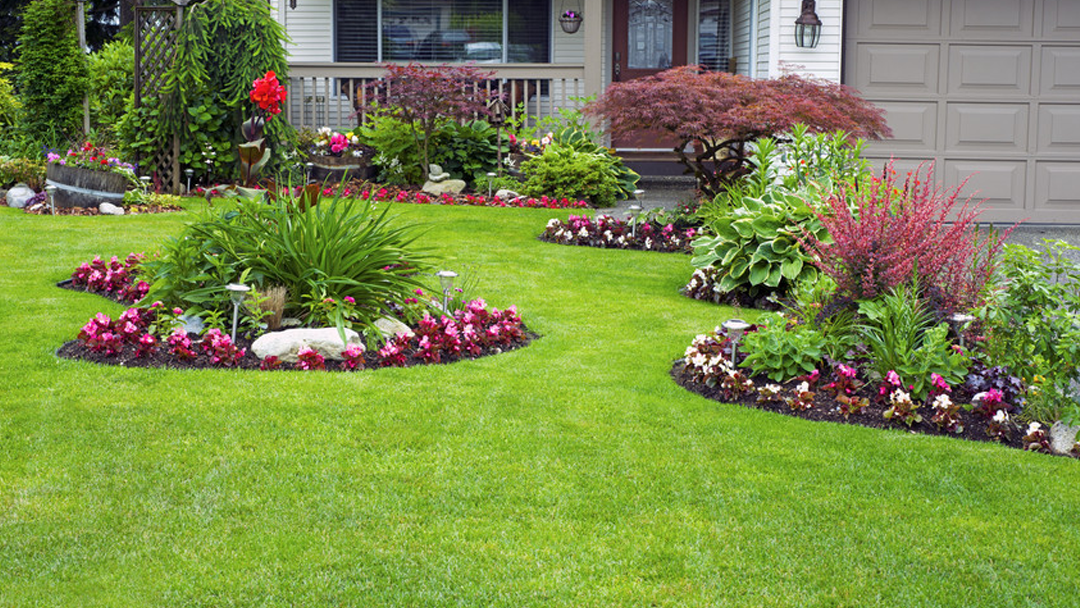 Mountain View Landscaping LLC