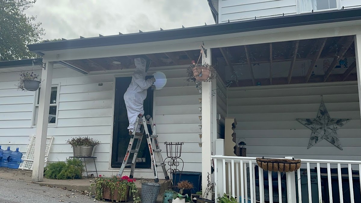 Green Pest Services - Chantilly