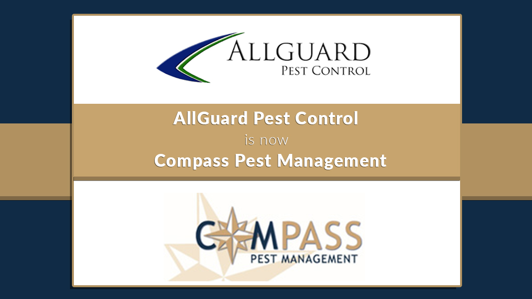 AllGuard Pest Control