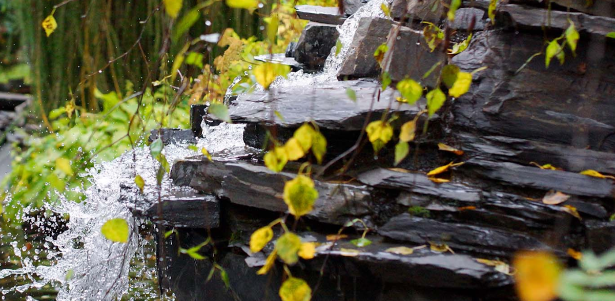 Allen & Son Yard Service