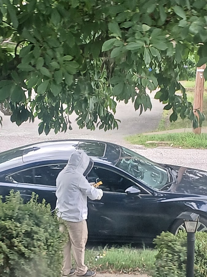 Arterix Pest Control, LLC