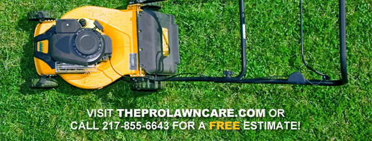 Pro-Lawn Care
