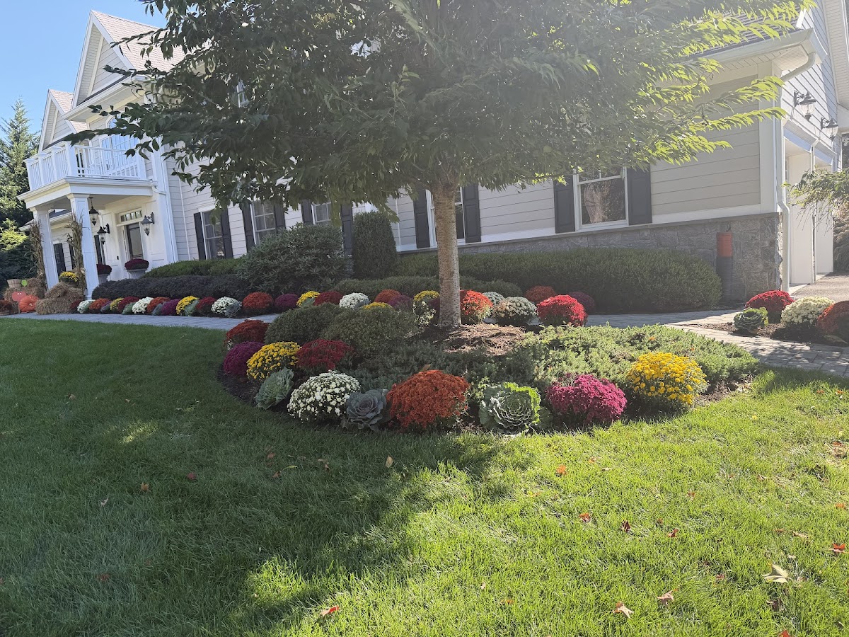 Bluegrass lawn care llc